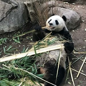 Meet your Posher, Cher